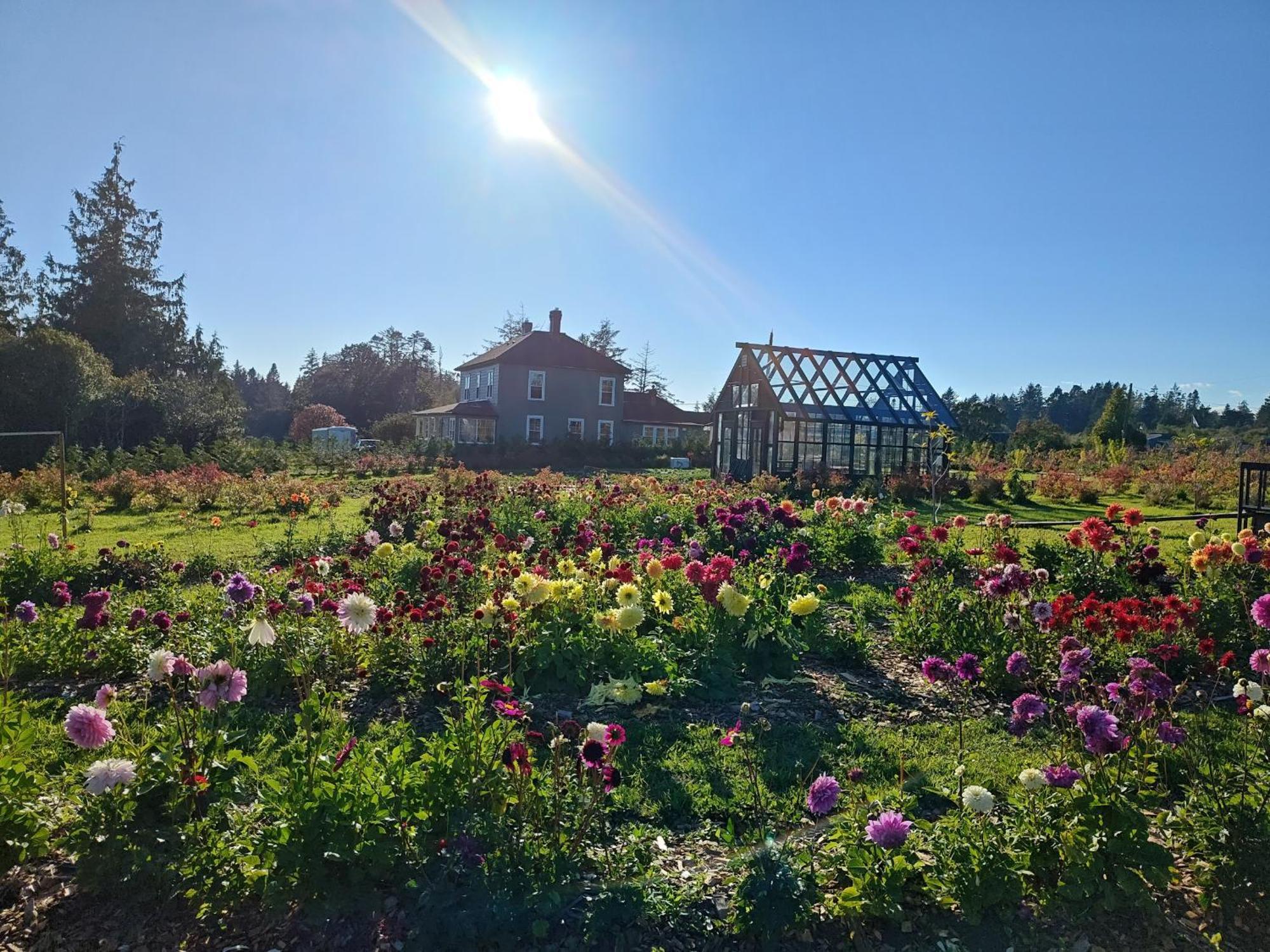 Woodside Farm Country Inn Sooke Esterno foto